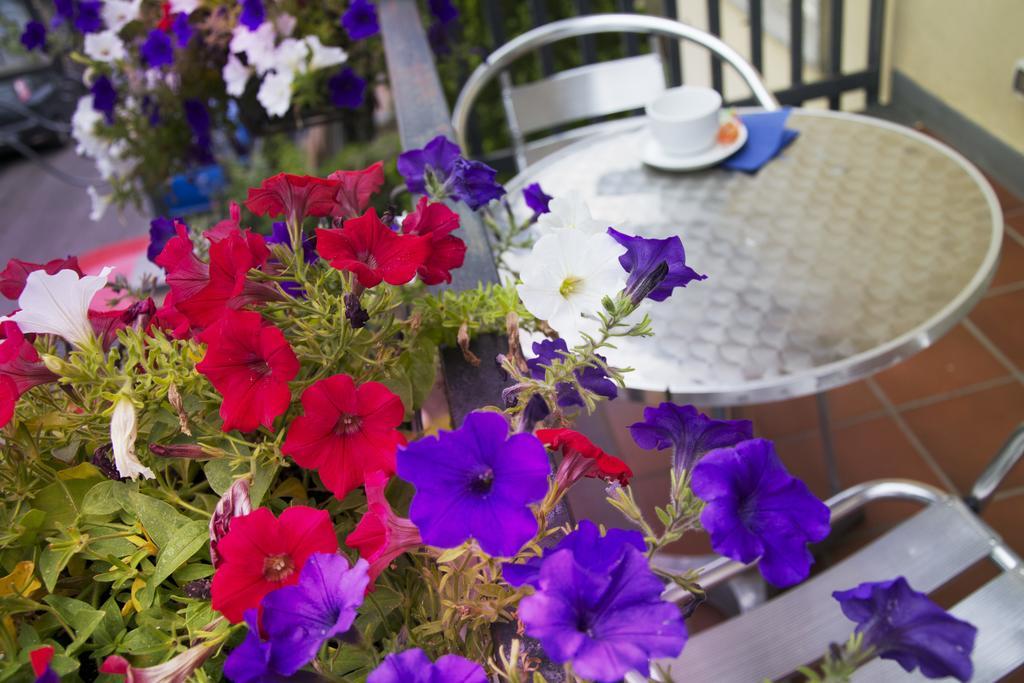B&B Notti E Dintorni ニコロージ 部屋 写真